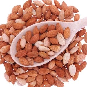 Apricot Kernel