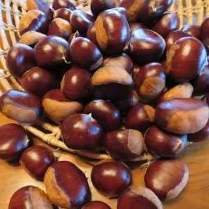 Chestnuts