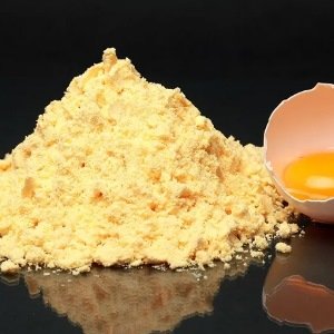 EGG YOLK POWDER