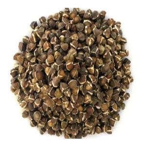 Moringa Seeds