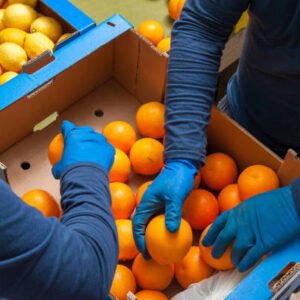 Oranges
