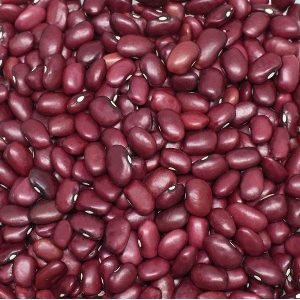 Pulses Kidney Beans
