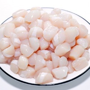 Quality Frozen Sea Scallop