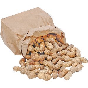 Roasted Peanuts in the Shell (Salted)