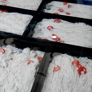 Salted Sheep Casing