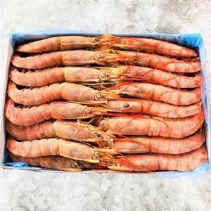 Shrimps (Red Argentina Shrimps)