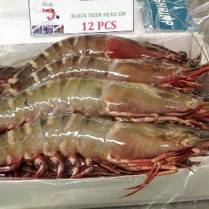 TIGER SHRIMPS