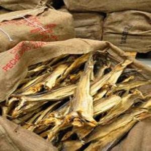 Tusk Dry Stock Fish Cod